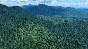 Menyelamatkan Bentang Alam Berhutan Utuh yang Tersisa