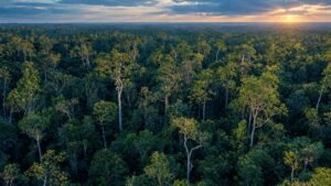 Melindungi Hutan Bagi Kehidupan